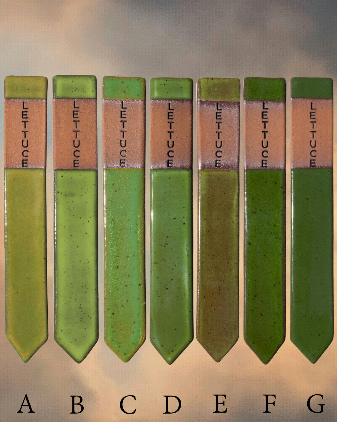 Garden Markers